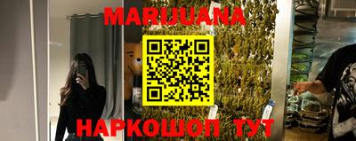 трава Сланцы