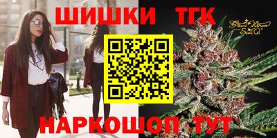 трава Сланцы