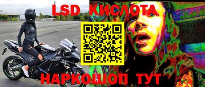 трава Сланцы