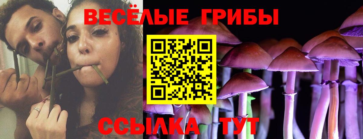Псилоцибиновые грибы GOLDEN TEACHER  Вход с VPN  Наро-Фоминск 